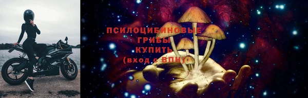 PSILOCYBIN Абинск