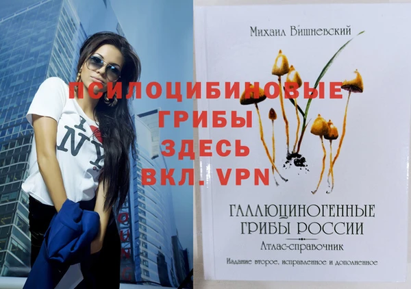 PSILOCYBIN Абинск