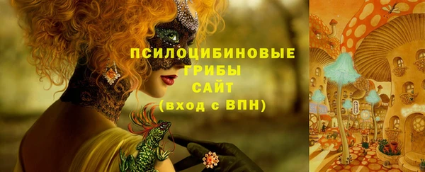 PSILOCYBIN Абинск