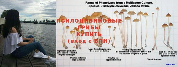 скорость mdpv Абаза