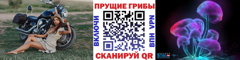 Псилоцибиновые грибы MAGIC MUSHROOMS  цена наркотик  мориарти телеграм  Шилка 